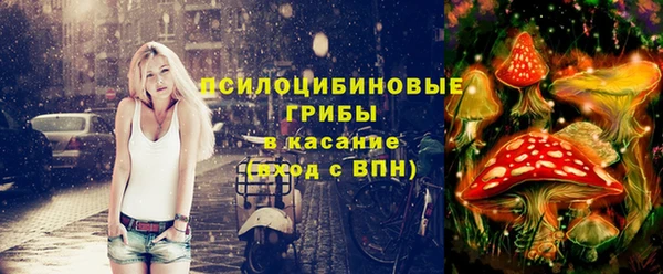 мяу мяу мука Бородино