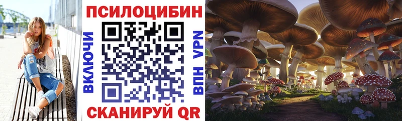 Галлюциногенные грибы Psilocybe  площадка как зайти  Горячий Ключ 